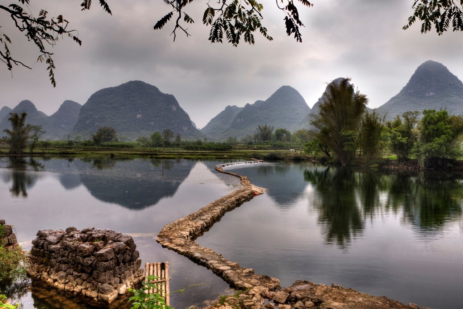 Panda Loach Habitat Southern China Guangxi Clear Waters