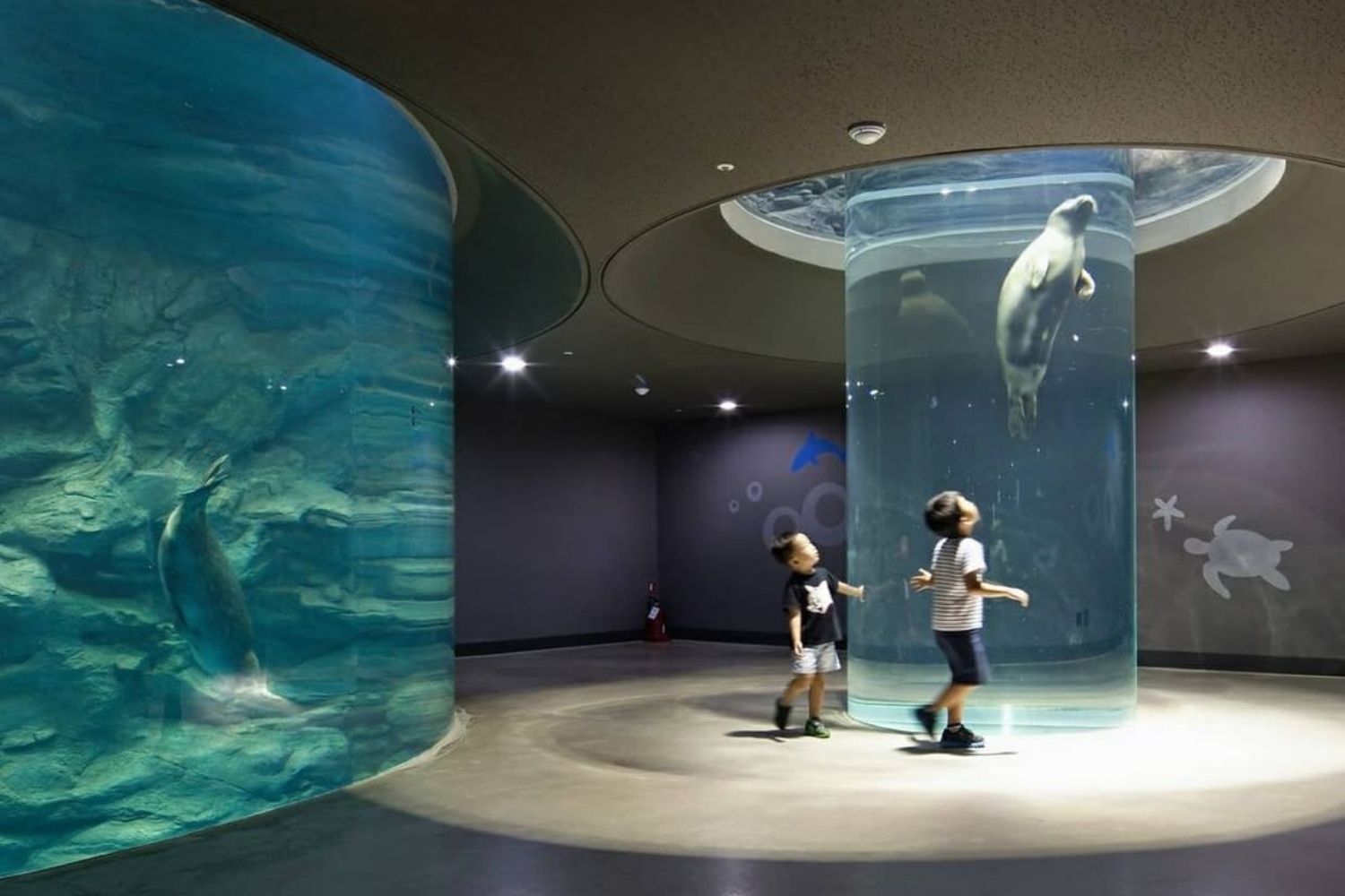 Best Aquariums in the World Aquaplanet Jeju Aquarium