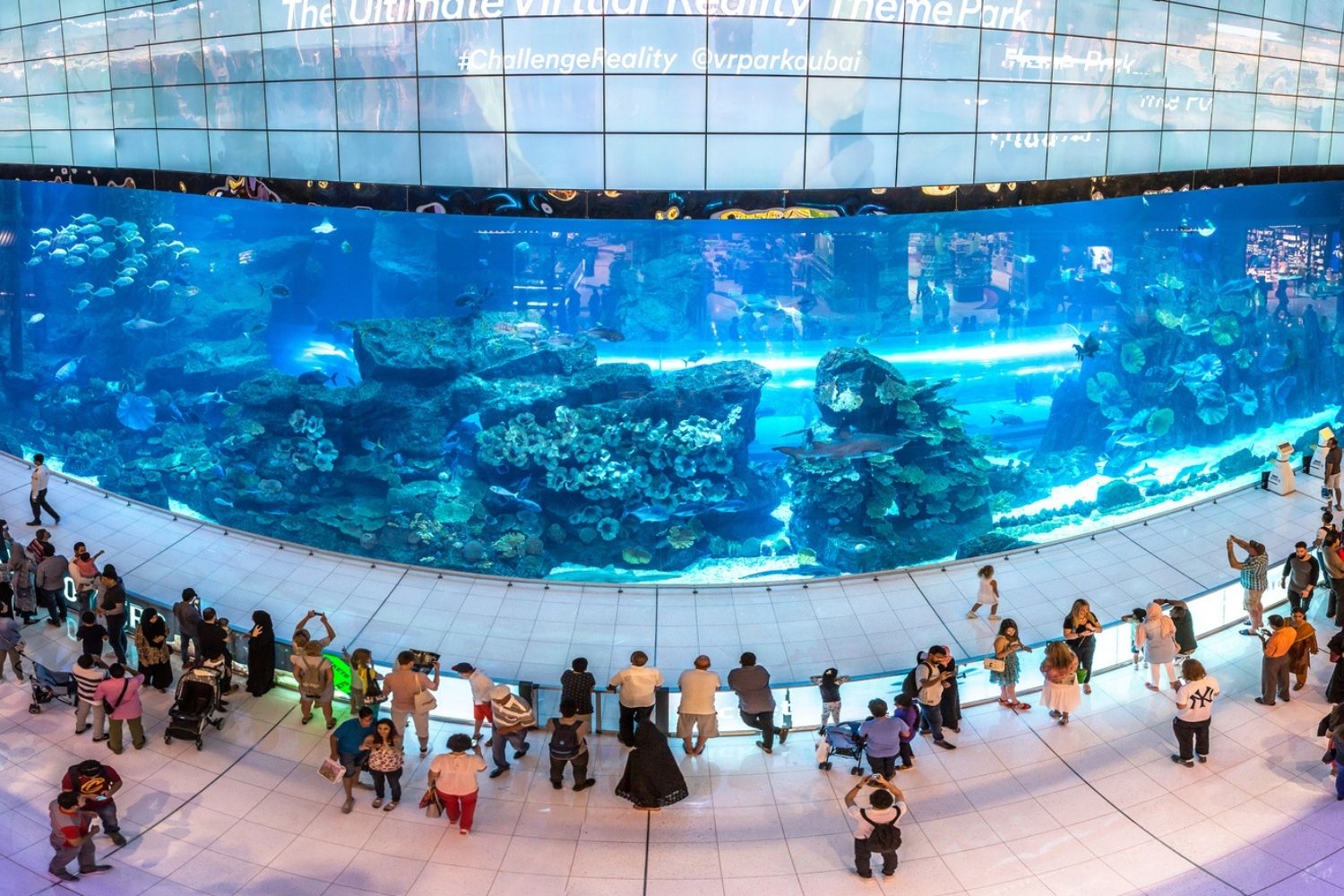 Best Aquariums in the World Dubai Aquarium
