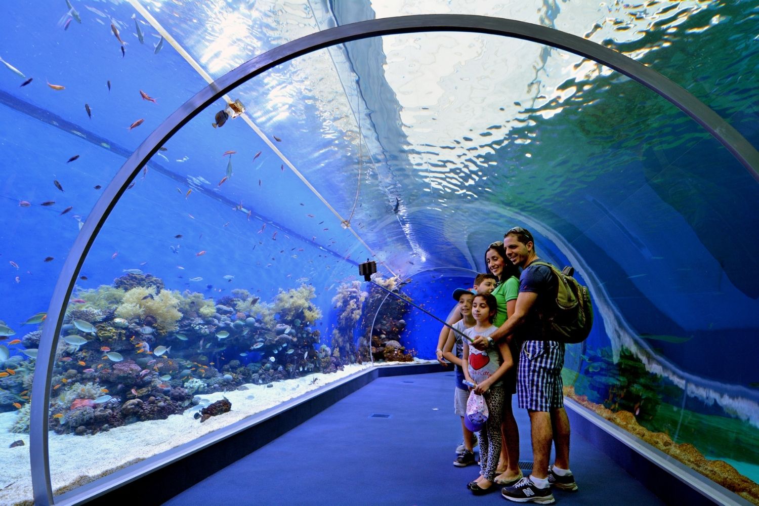 The top aquarium