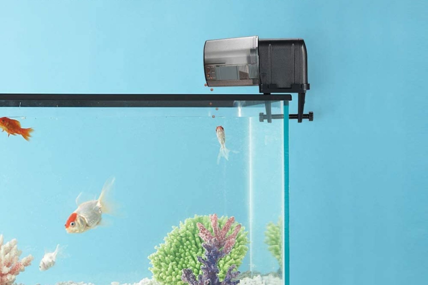 Best Automatic Fish Feeder for Aquarium