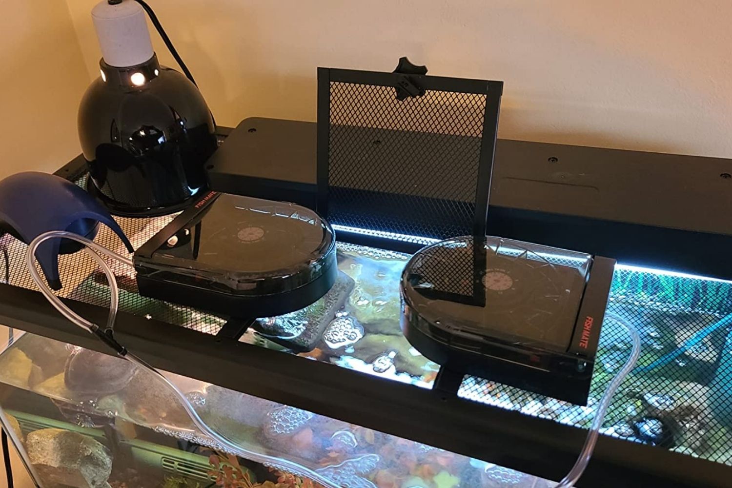 Best Automatic Fish Feeder Portion Size