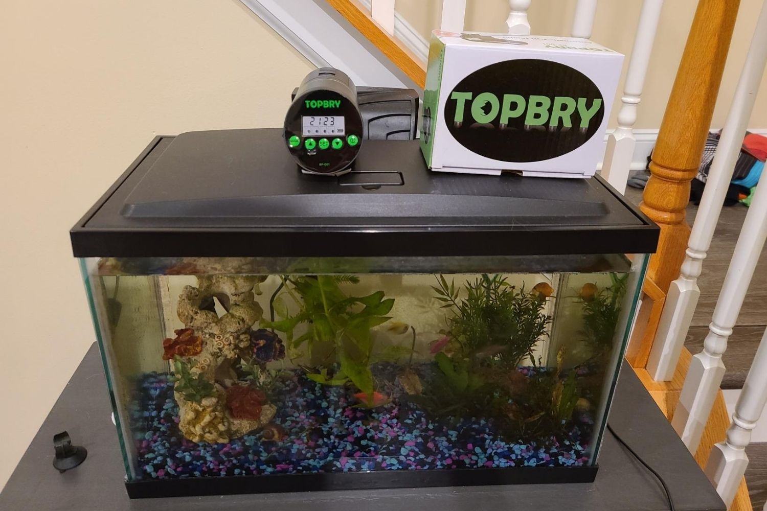 imagitarium automatic fish feeder