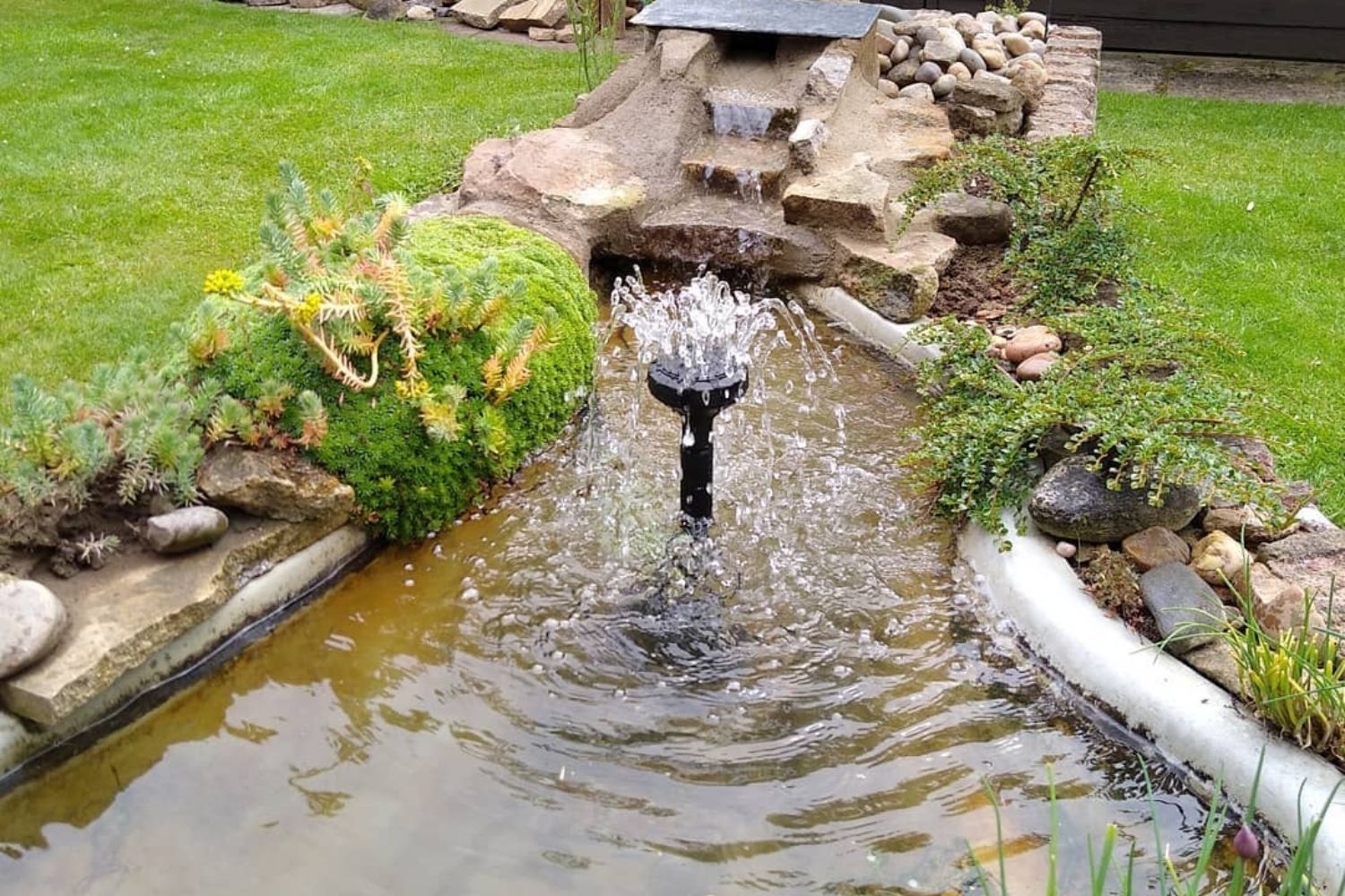 Best Garden Pond Filter