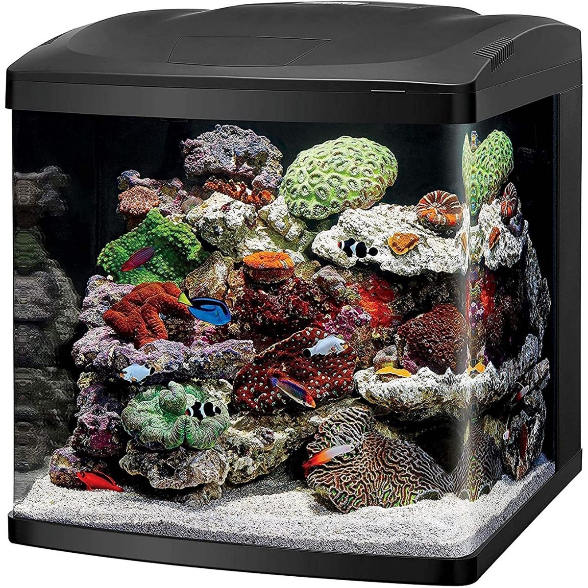 The Best Fish Tanks Option: Coralife Led Biocube