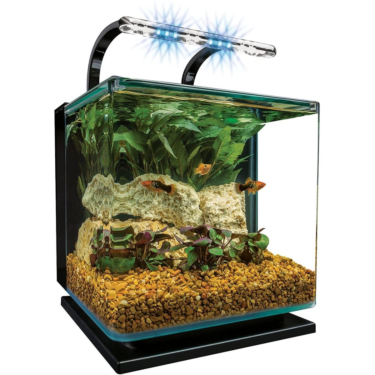 The Best Fish Tanks Option:  Marineland Contour-5-Gallon-Kit