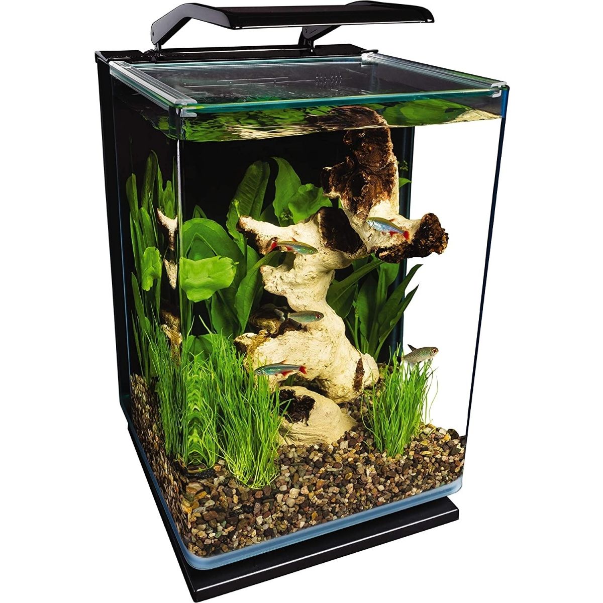 The Best Fish Tanks Option: Marineland Ml90609 Portrait
