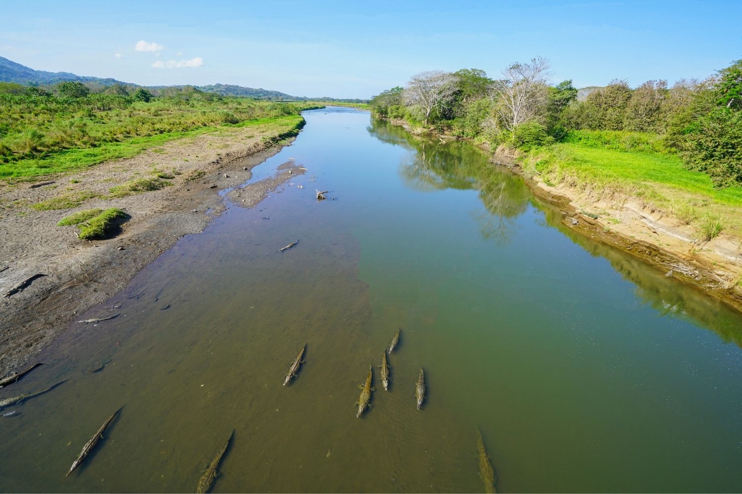 Costa Rica Moin River