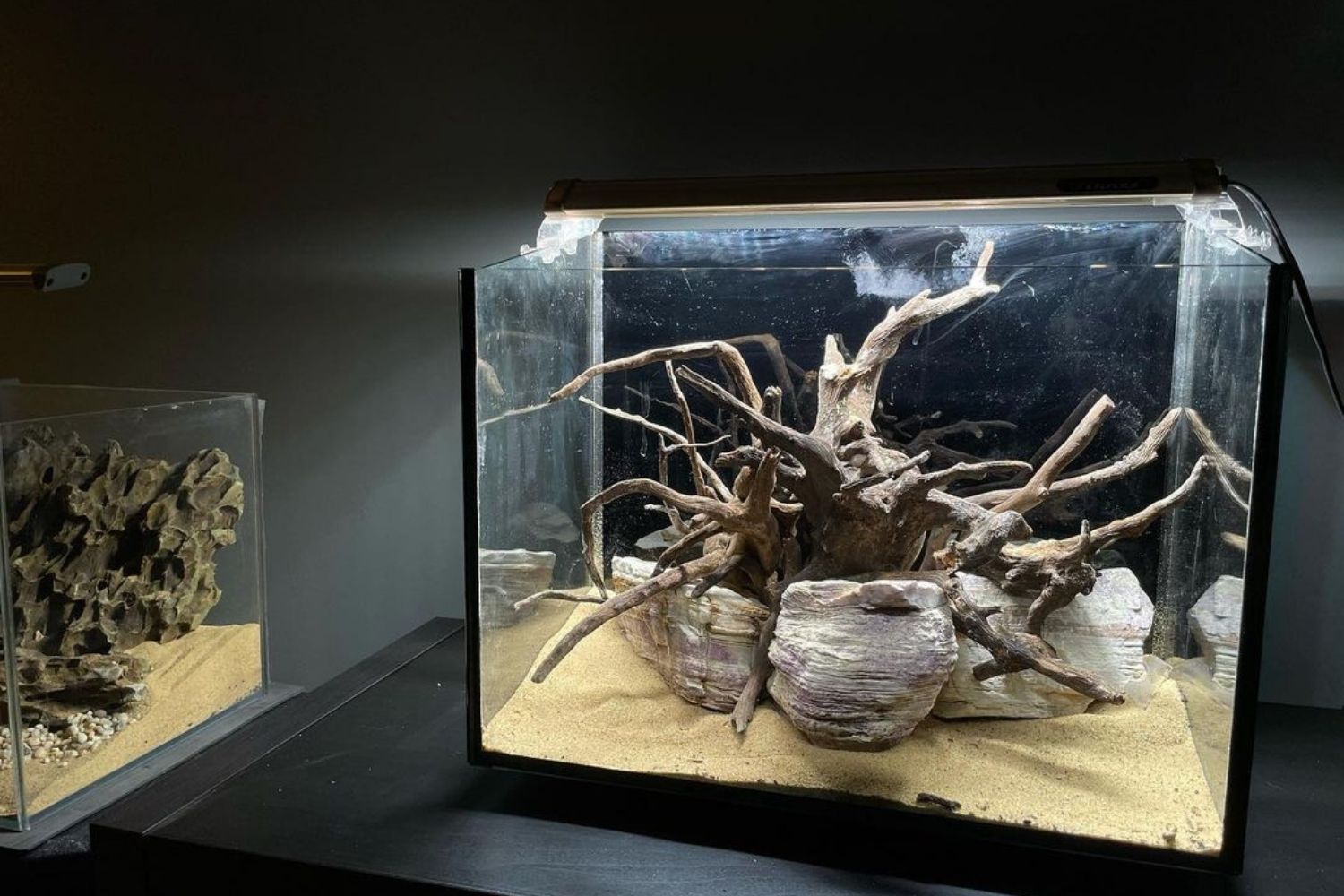 Finnex Planted Plus 24 7 Aquarium Led Light Review