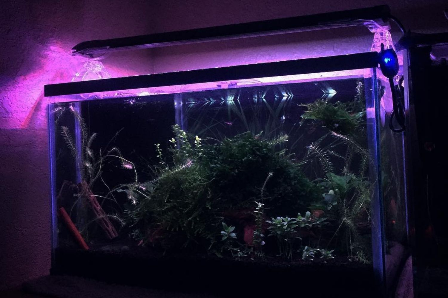 Finnex Planted Plus 24 7 Hlc Aquarium Led Light Review