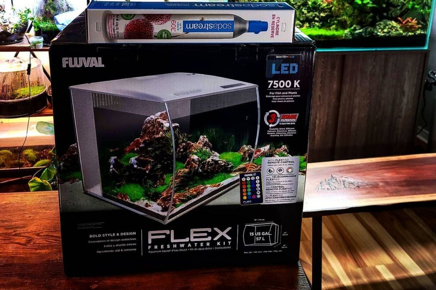 Fluval Flex Review Fish Tank Box White Version