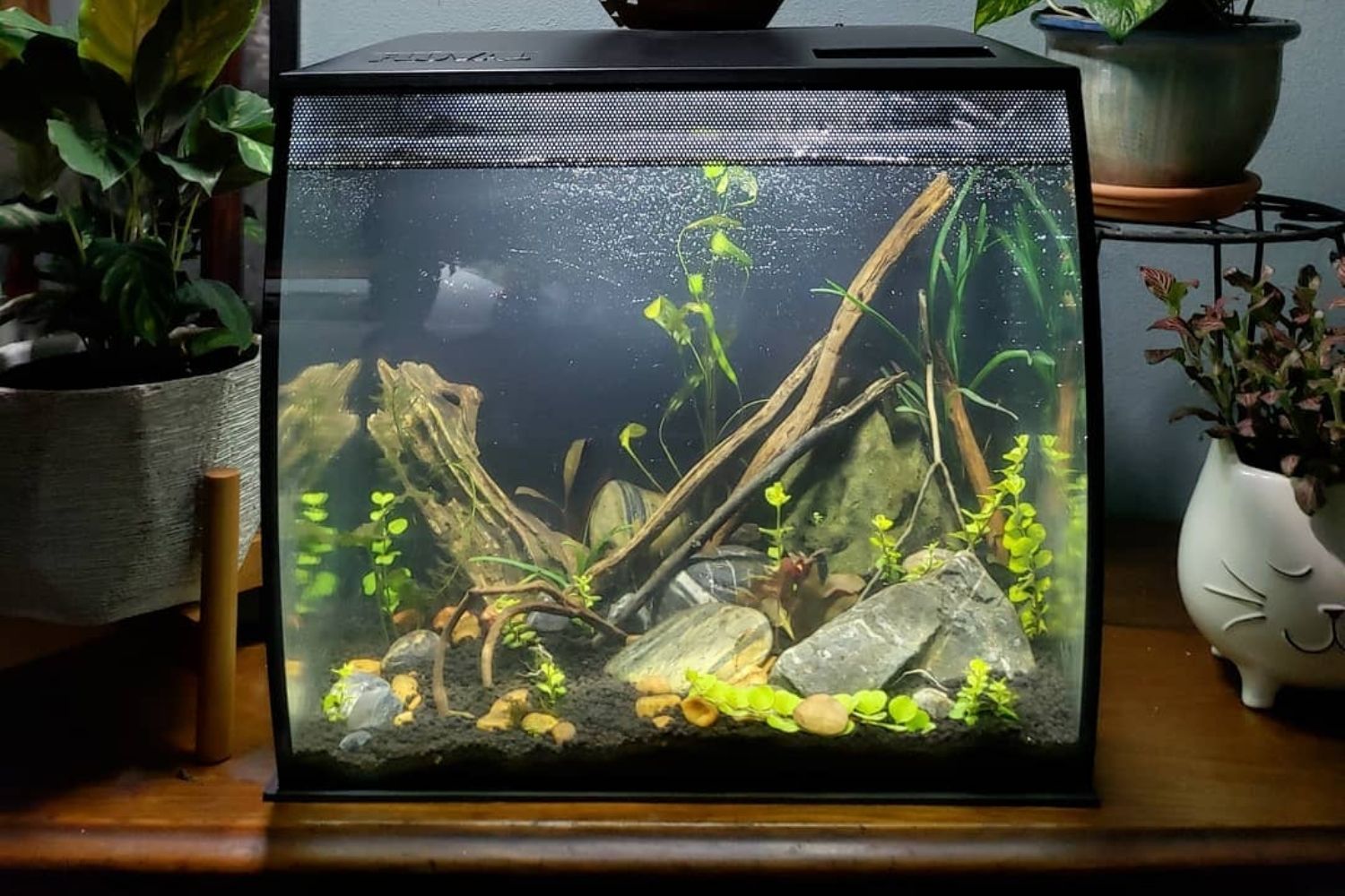 Fluval Flex Review Fish Tank Clean Water