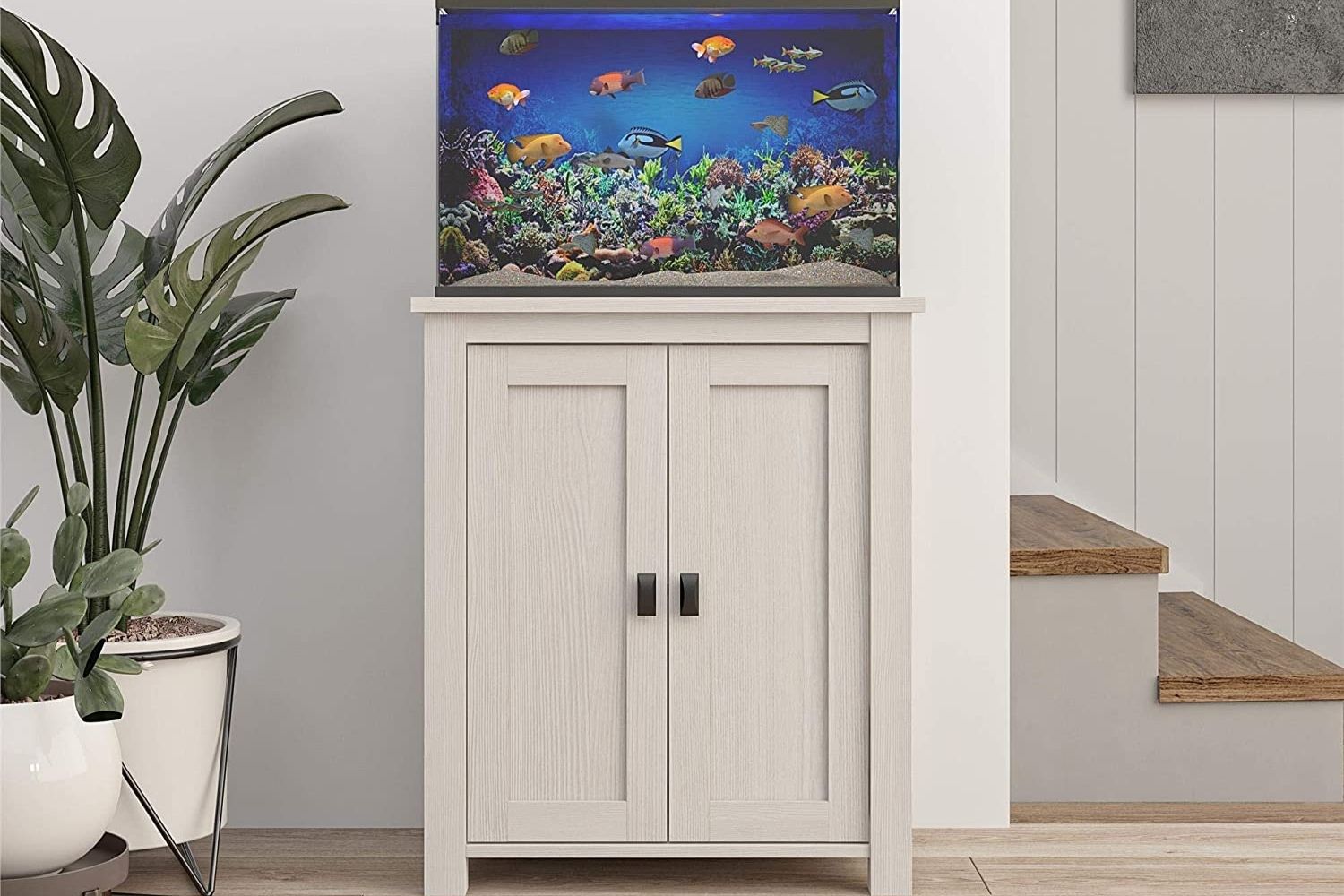 The Best 10 Gallon Fish Tank Stand Option