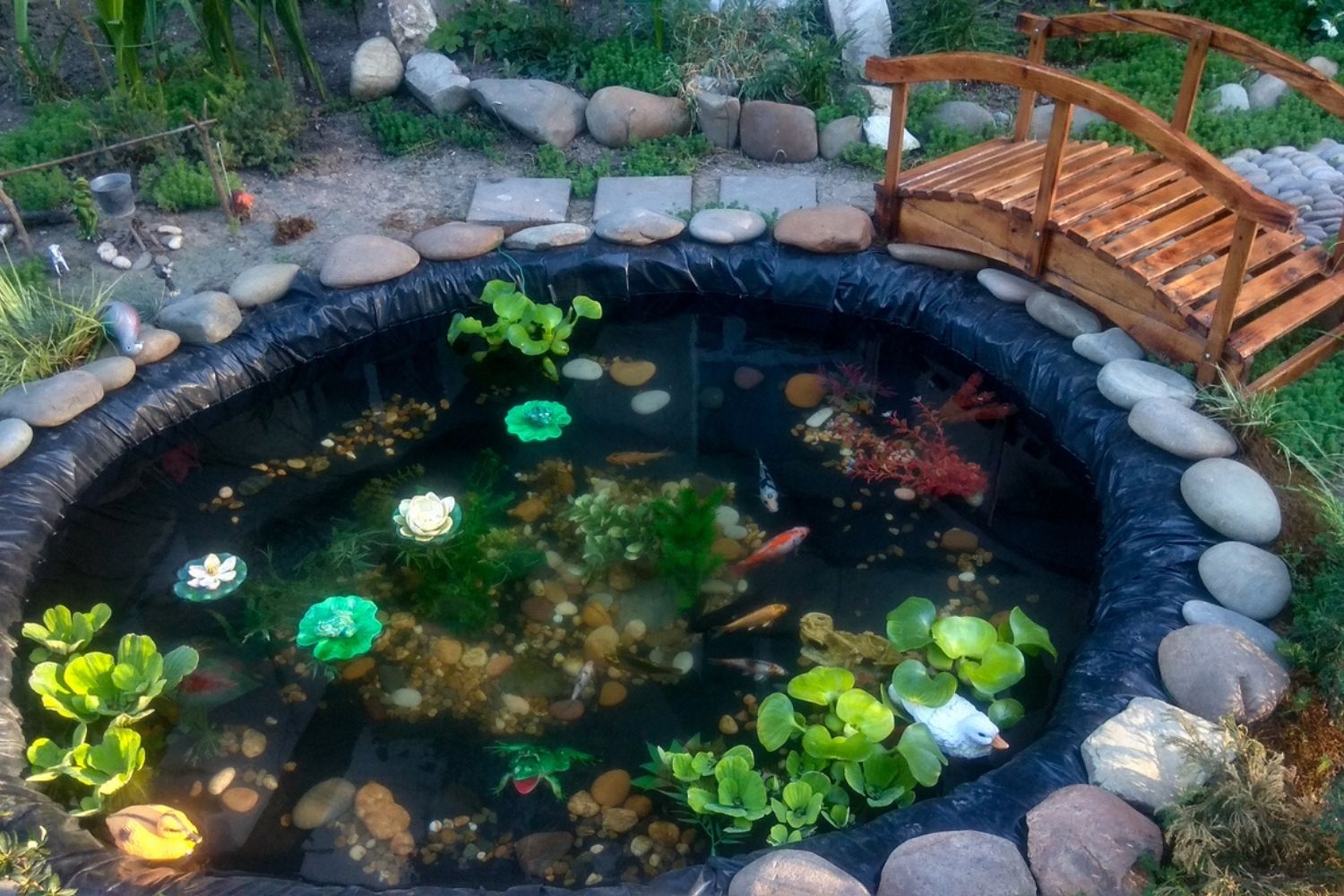 How to Build a Pond with Liner