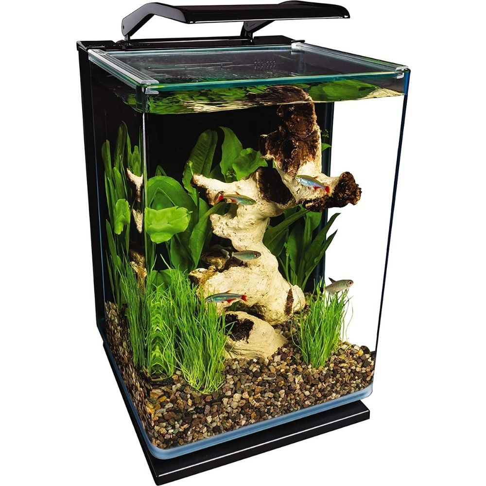 The Best Betta Fish Tanks Options: Marineland Portrait