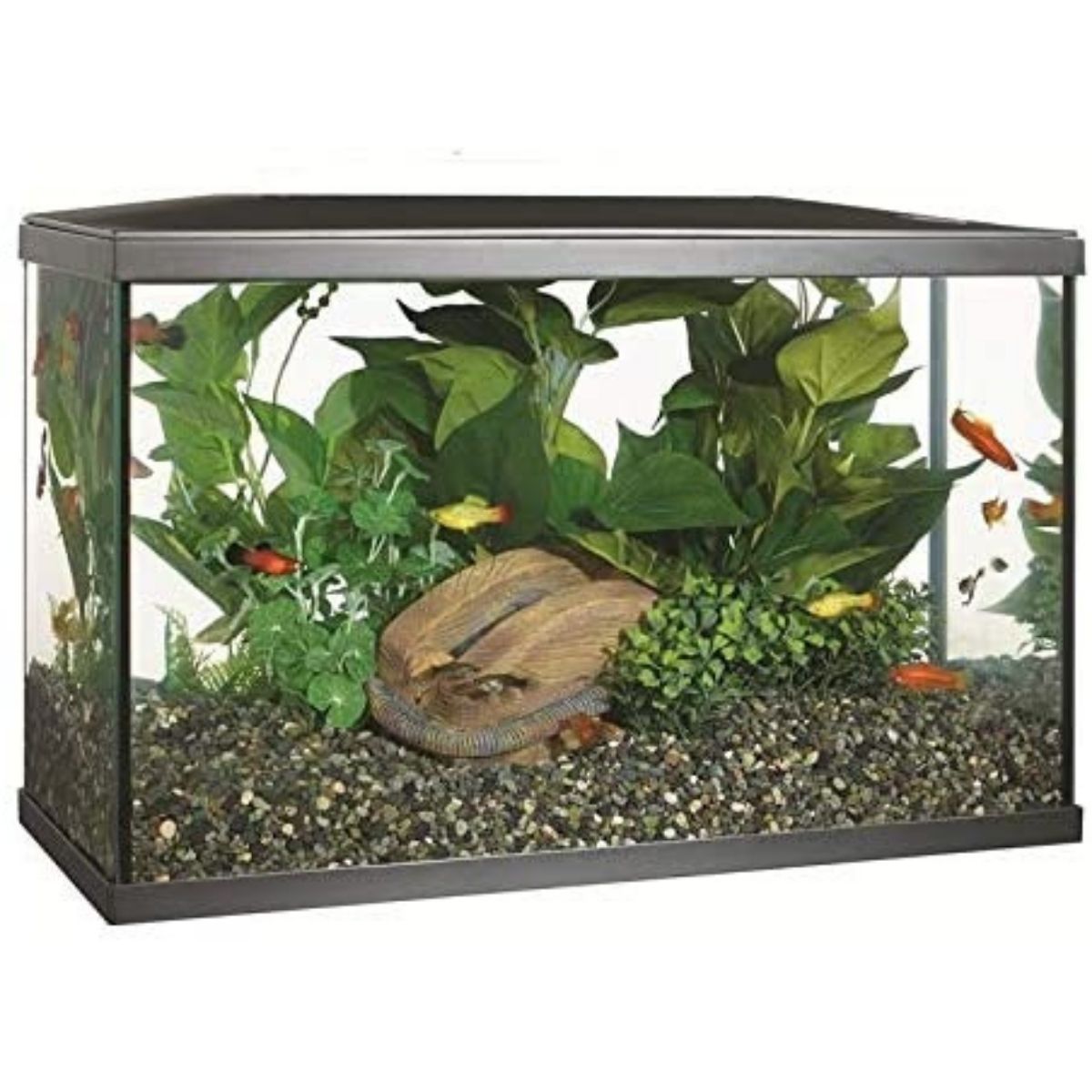 best 10 gallon fish tank Marina LED Aquarium Kit