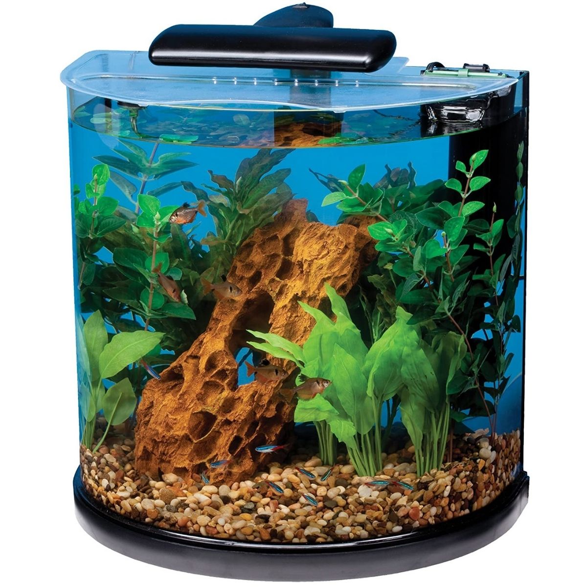 The best 10 gallon fish tank option: Tetra Half Moon Aquarium Kit