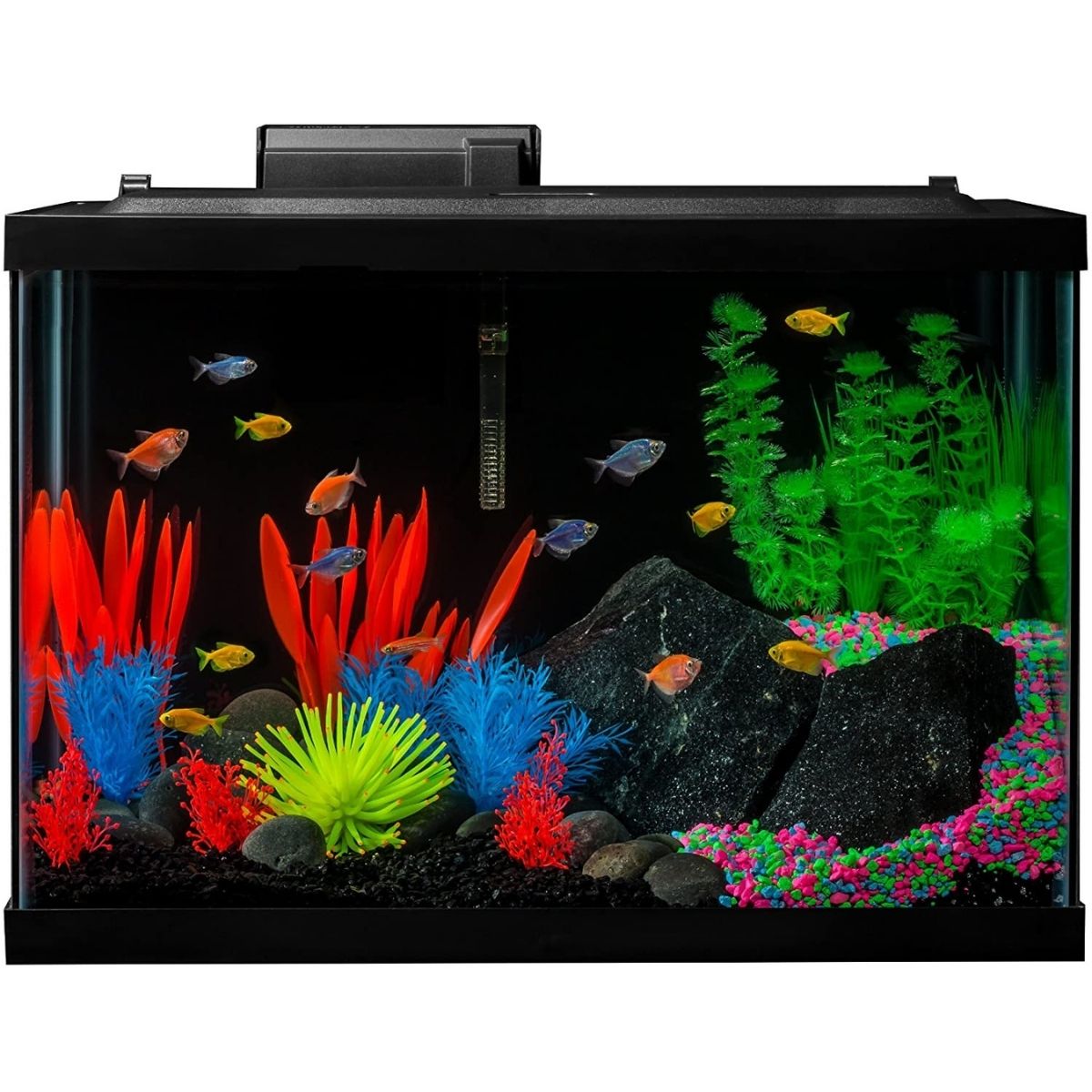Best 20 Gallon Fish Tank Glofish Aquarium Kit Fish Tank