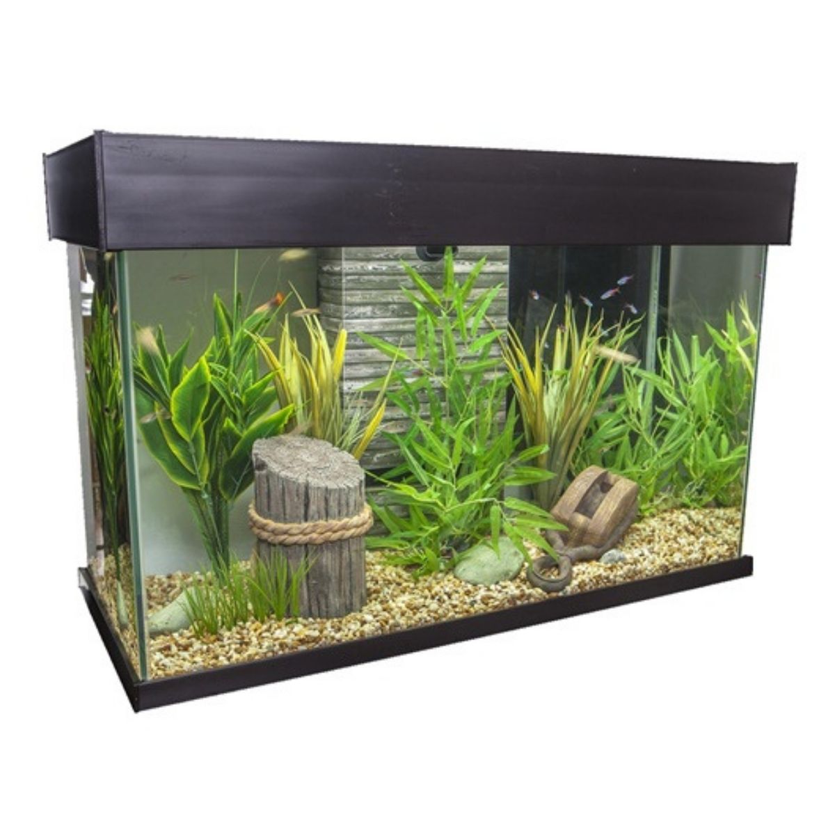 Best 30 Gallon Fish Tank Fluval Accent Glass Aquarium