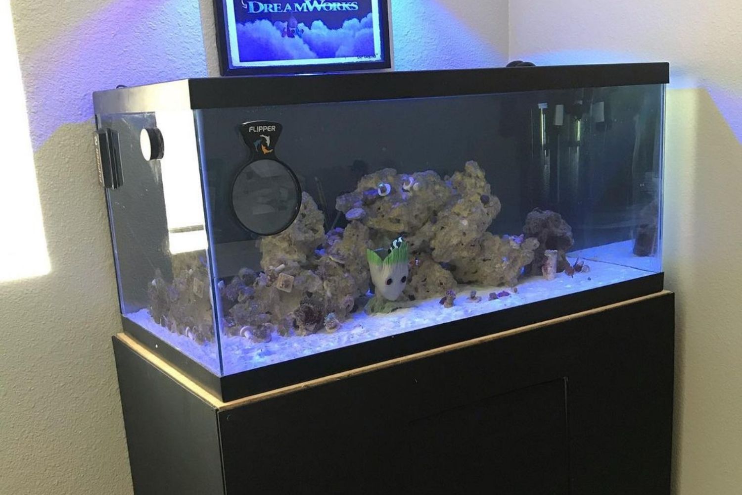 Best 40 Gallon Breeder Aquairum