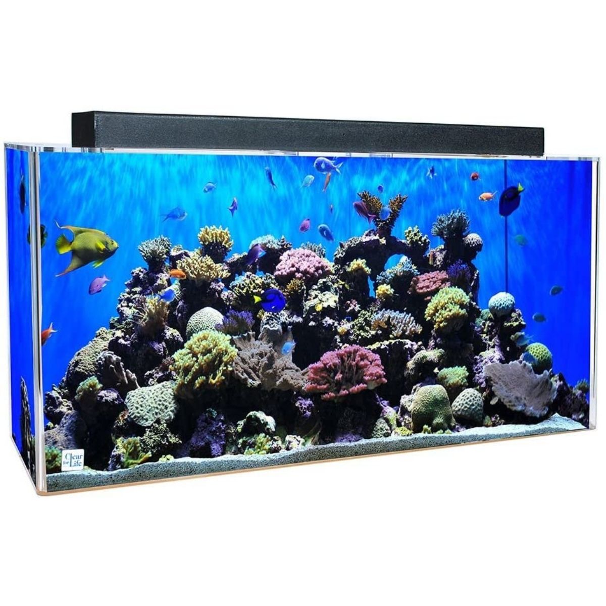 Best 40 Gallon Fish Tank Advance Aqua Tanks Acrylic