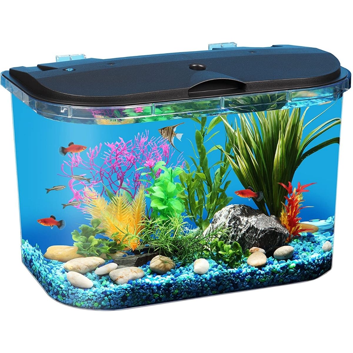 Best 5 Gallon Fish Tank Panaview 5-Gallon Aquarium Kit