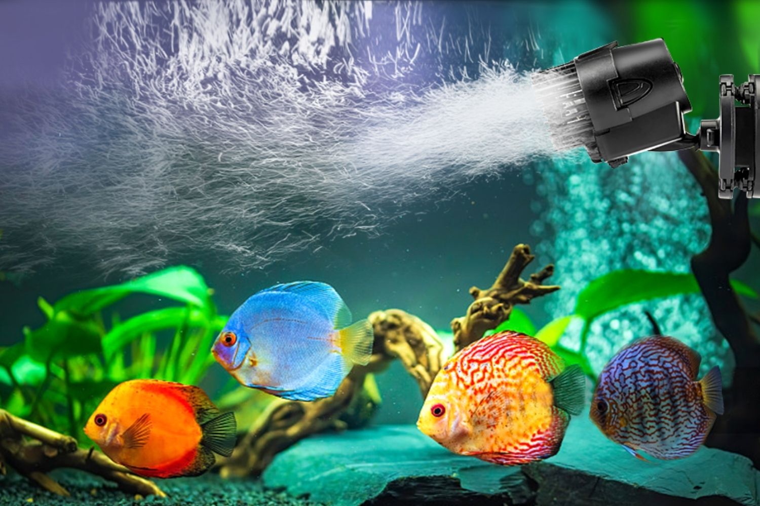 The Best Best Aquarium Powerhead for Reef Option