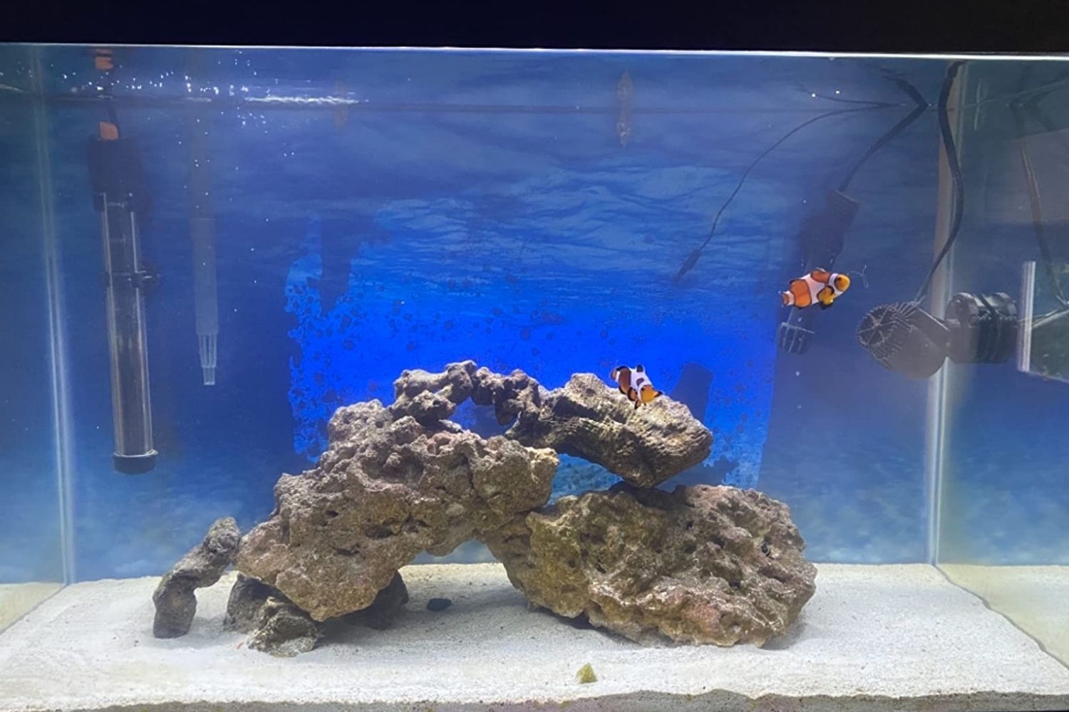 The Best Best Aquarium Powerhead for Saltwater Option