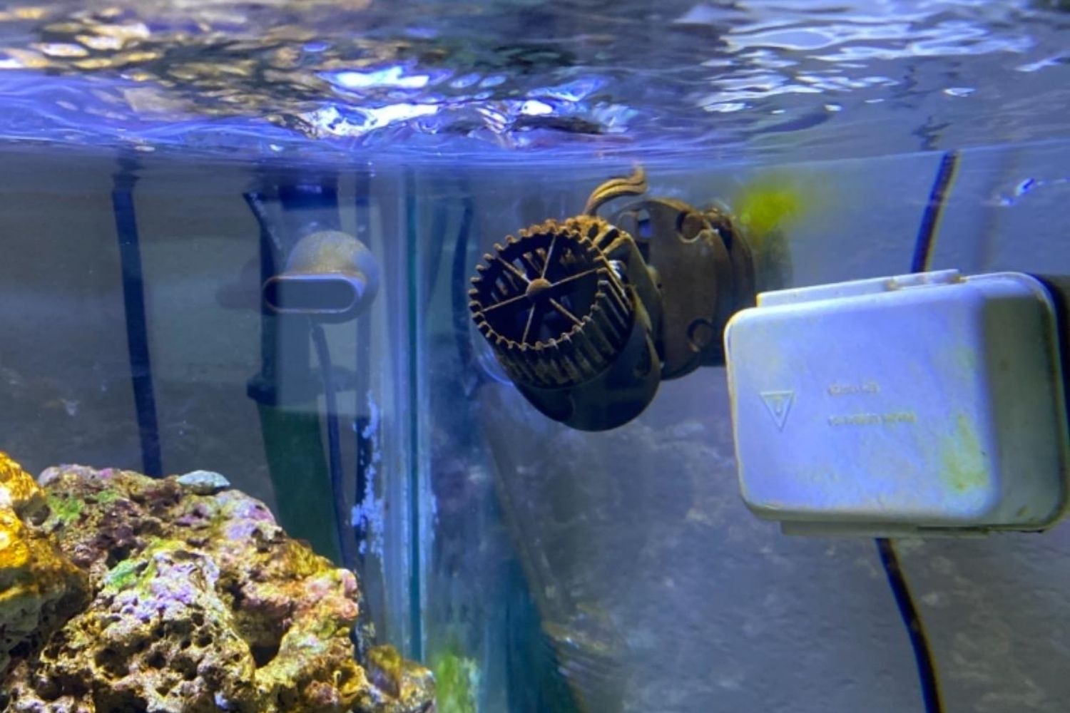 The Best Best Aquarium Powerhead for Reef Option