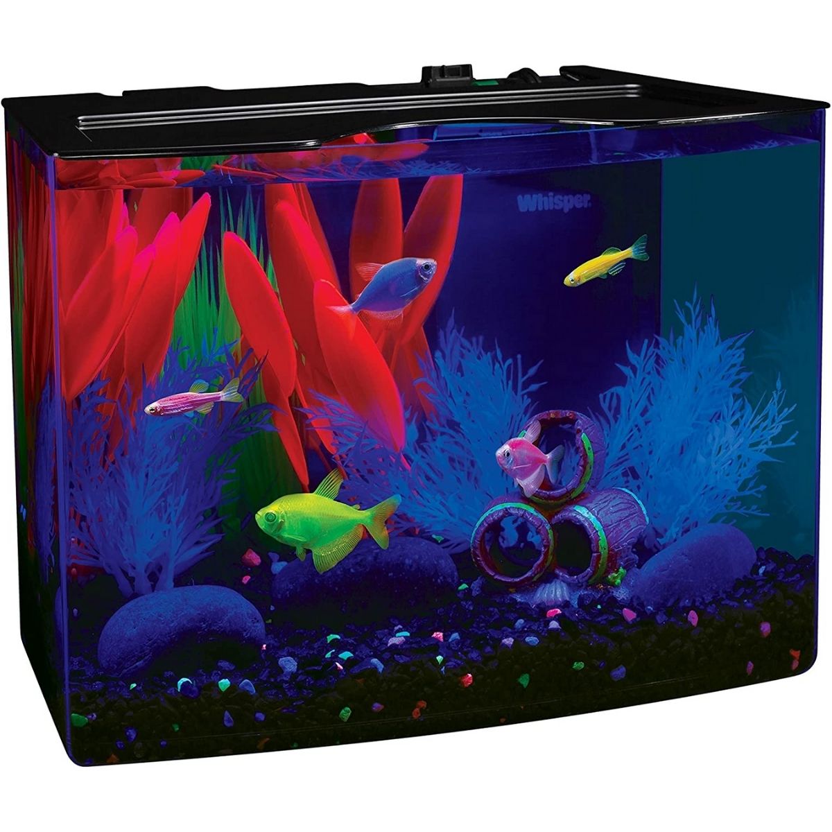 The Best Bow Front Aquarium Option: GloFish Crescent