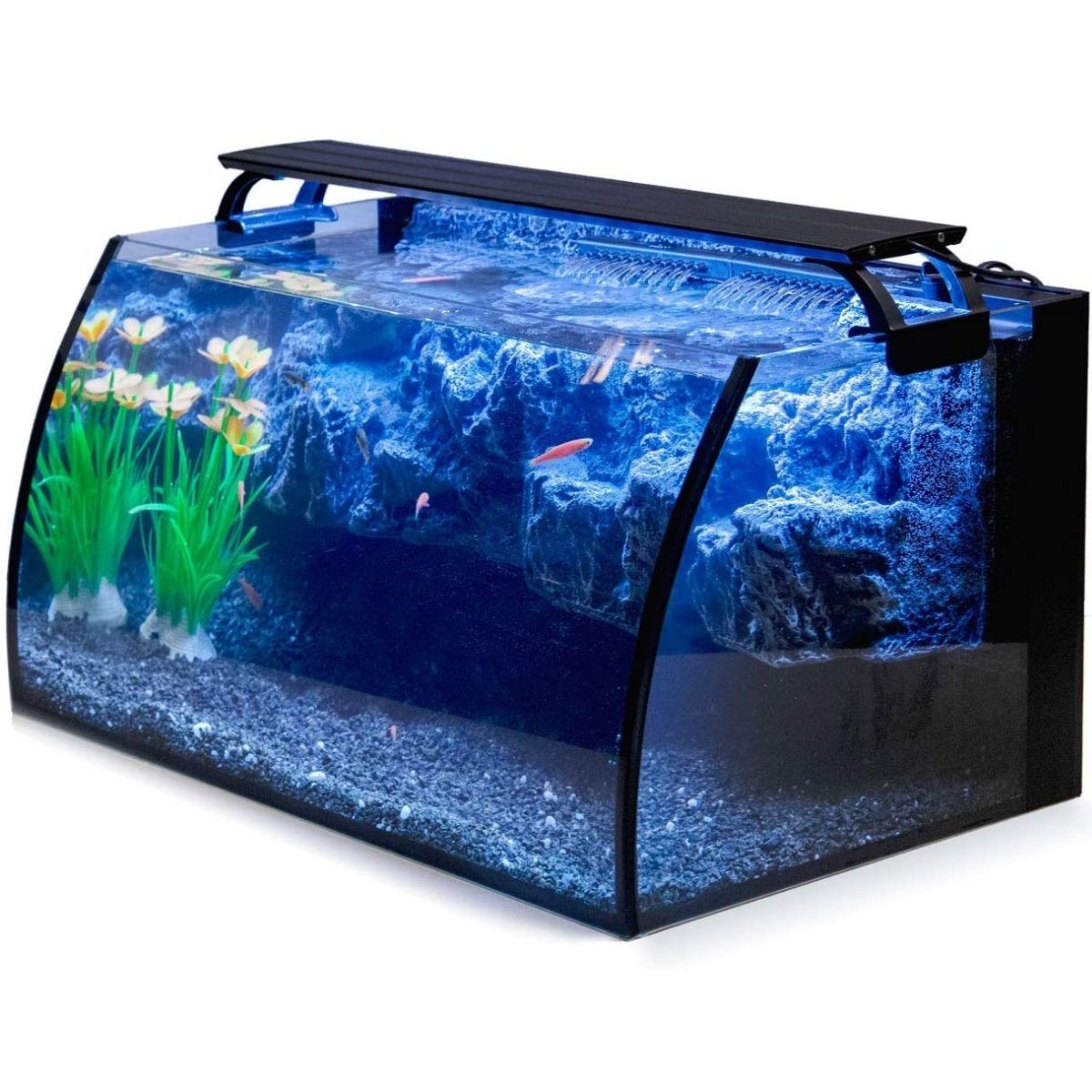 The Best Bow Front Shrimp Aquarium Hygger Horizon 8 Gallon Aquarium Kit