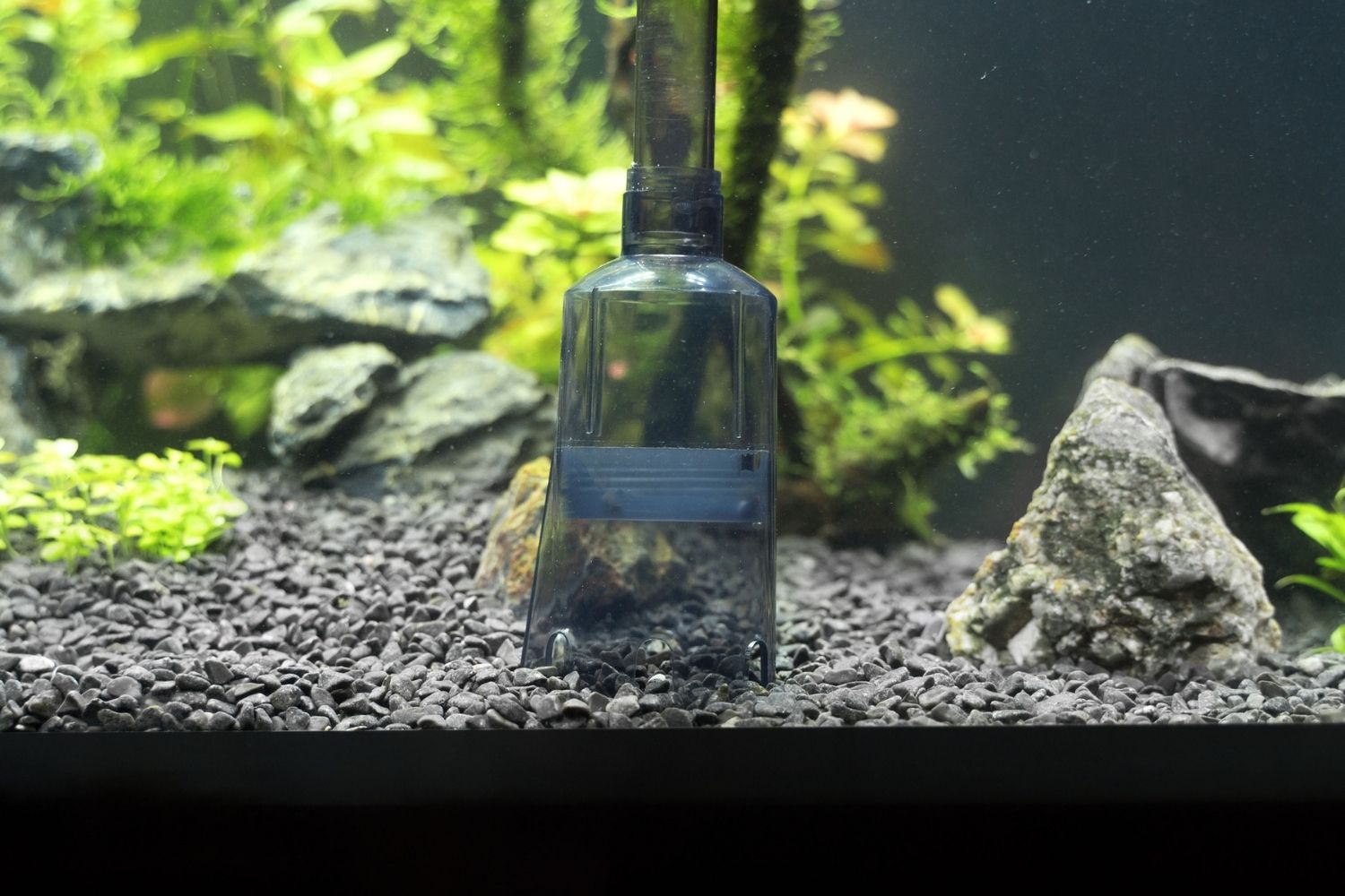 best gravel vacuum on aquarium