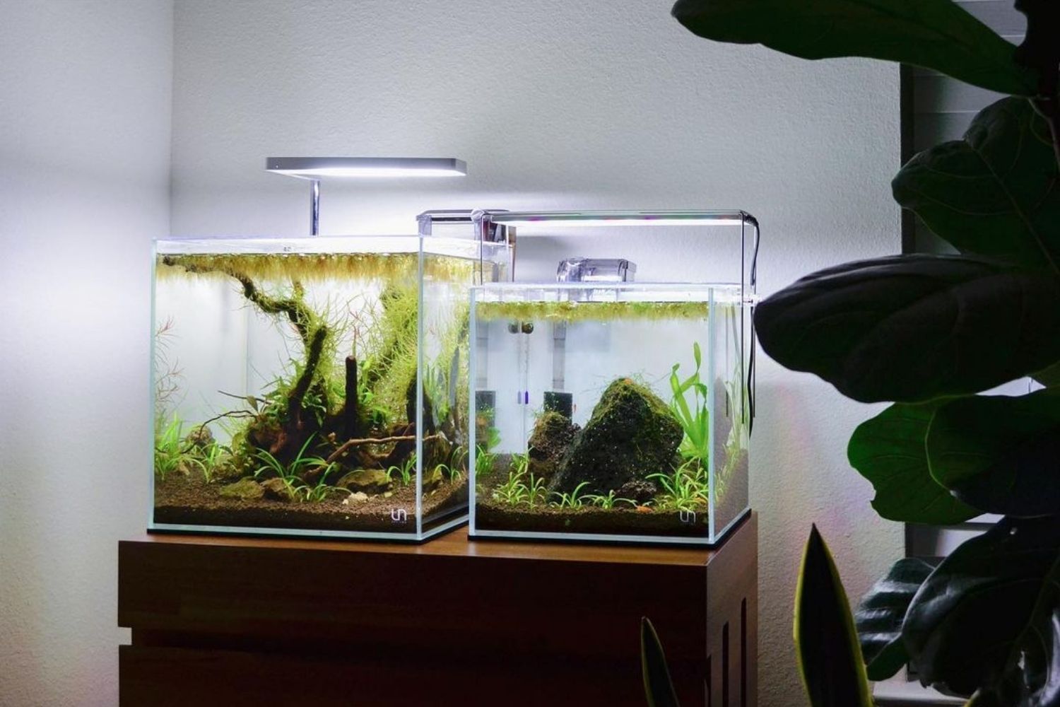 best nano aquarium
