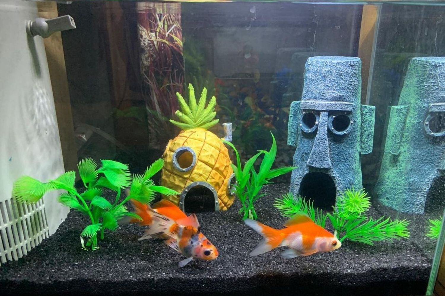 Best Spongebob Fish Tank Decorations Option