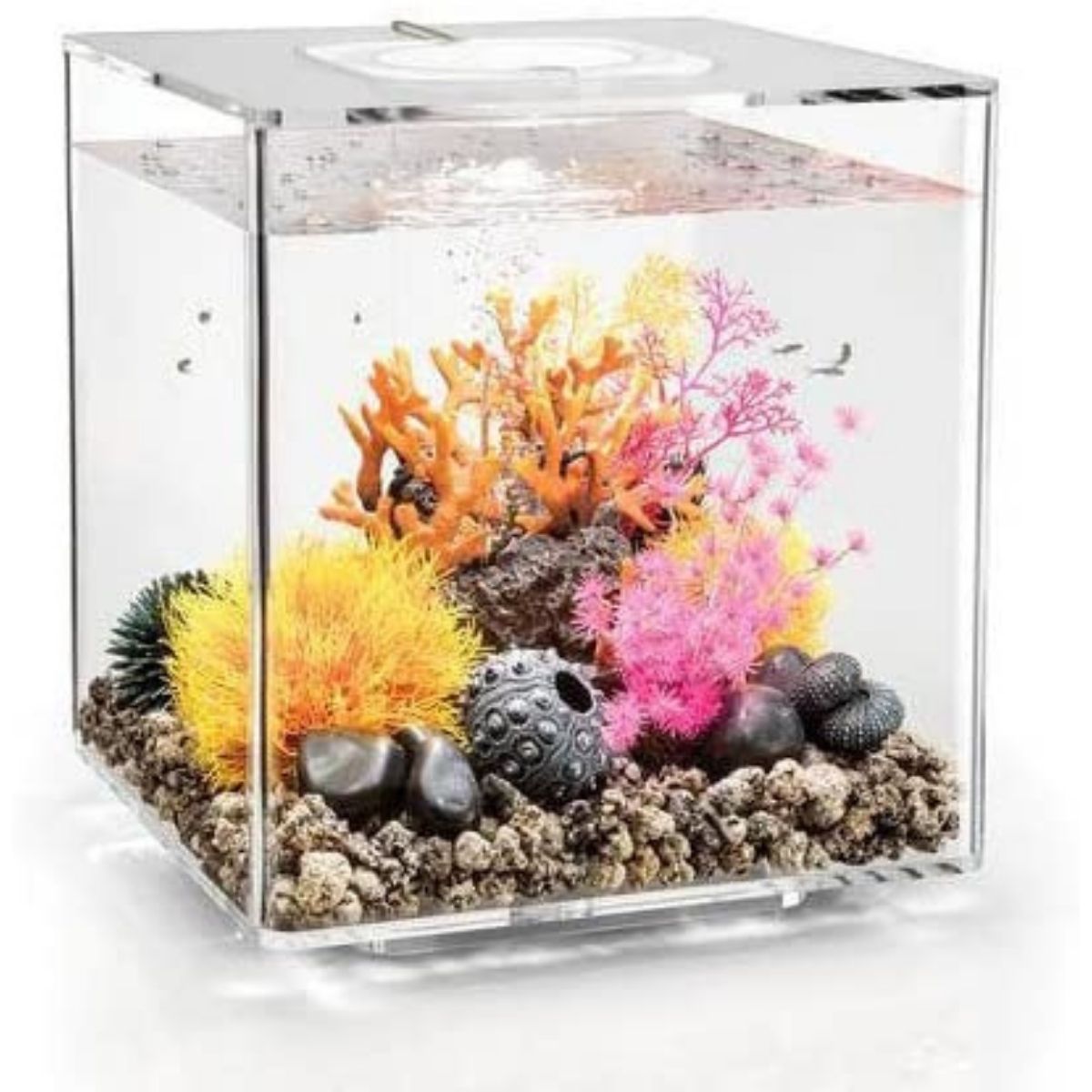 biorb cube 30 cube aquairum review