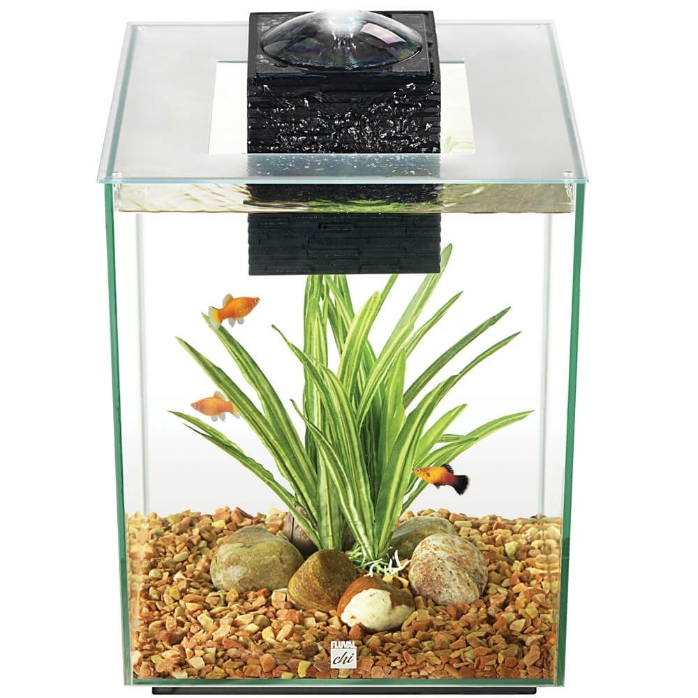 The Best Betta Fish Tanks Options: Fluval Chi Aquarium Kit