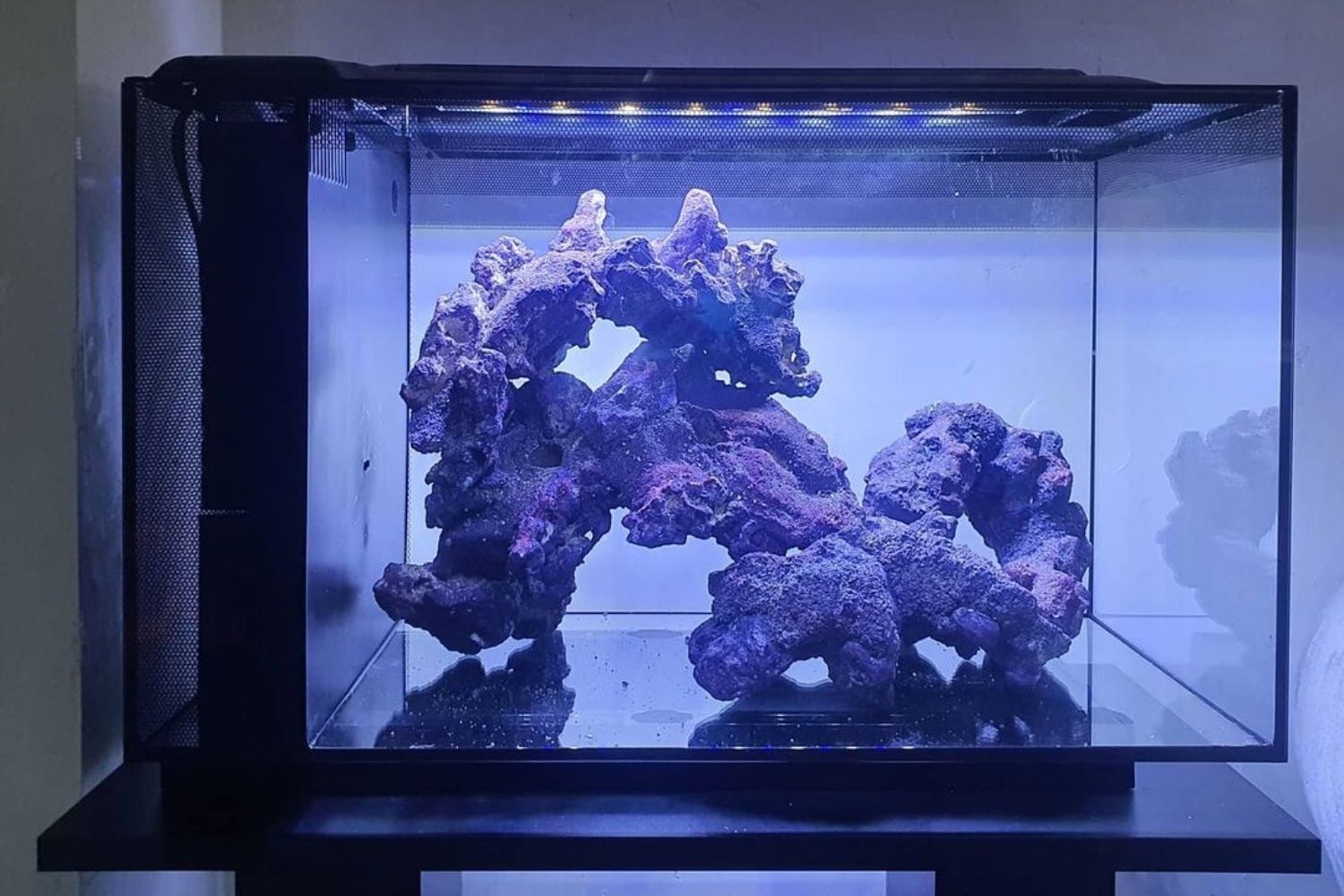 fluval evo 13.5 gallon aquarium light review
