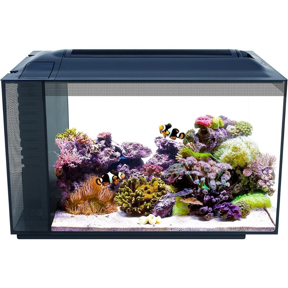 The Best Fish Tank Option: Fluval Evo 13.5