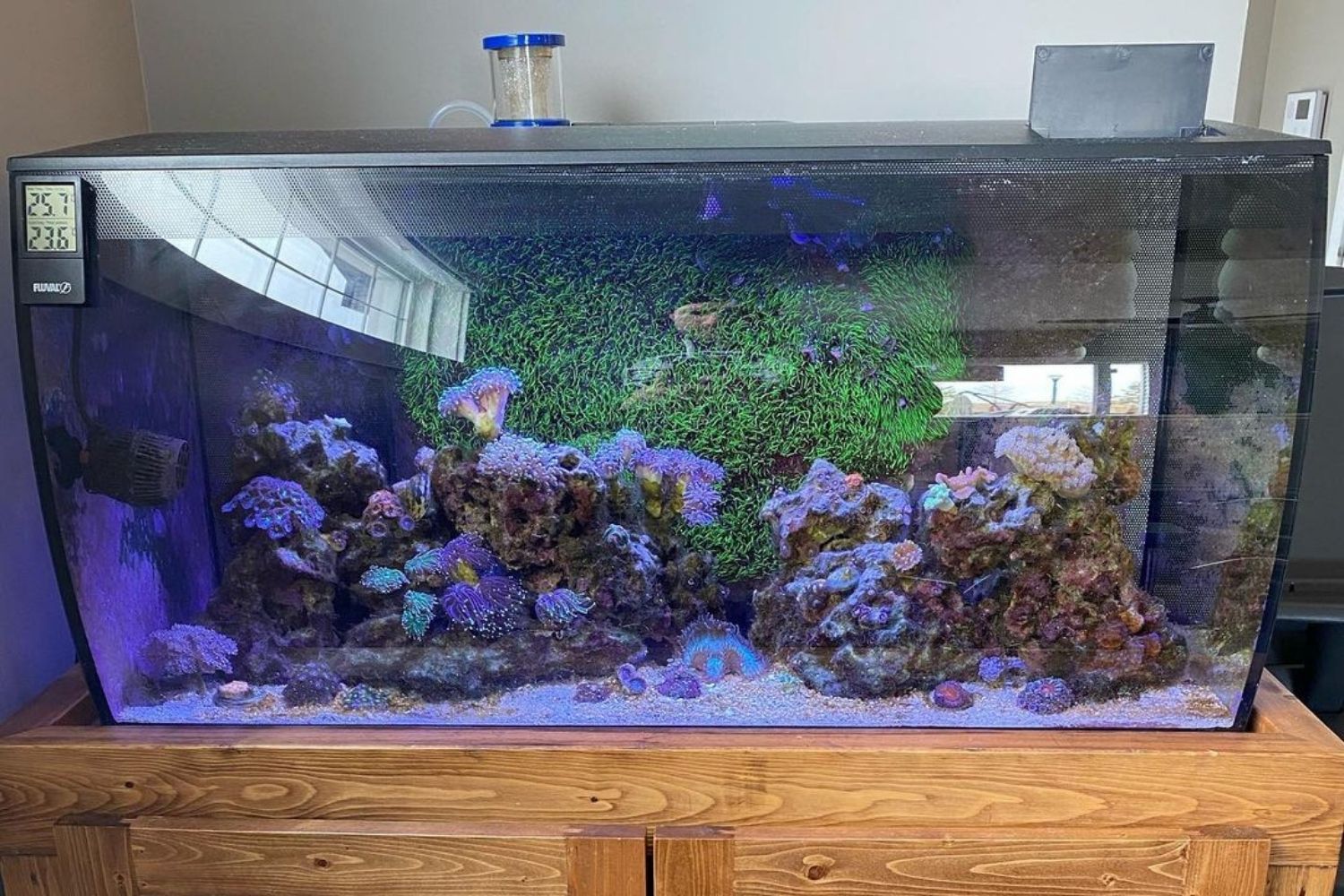 Fluval Flex 32.5 Aquairum Review Light