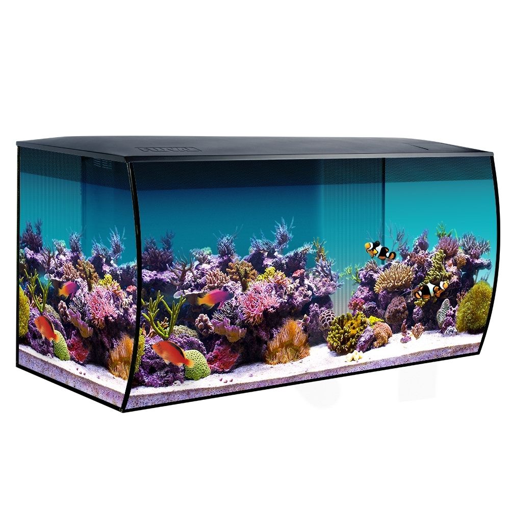 Fluval Sea Flex Aqaurium Review