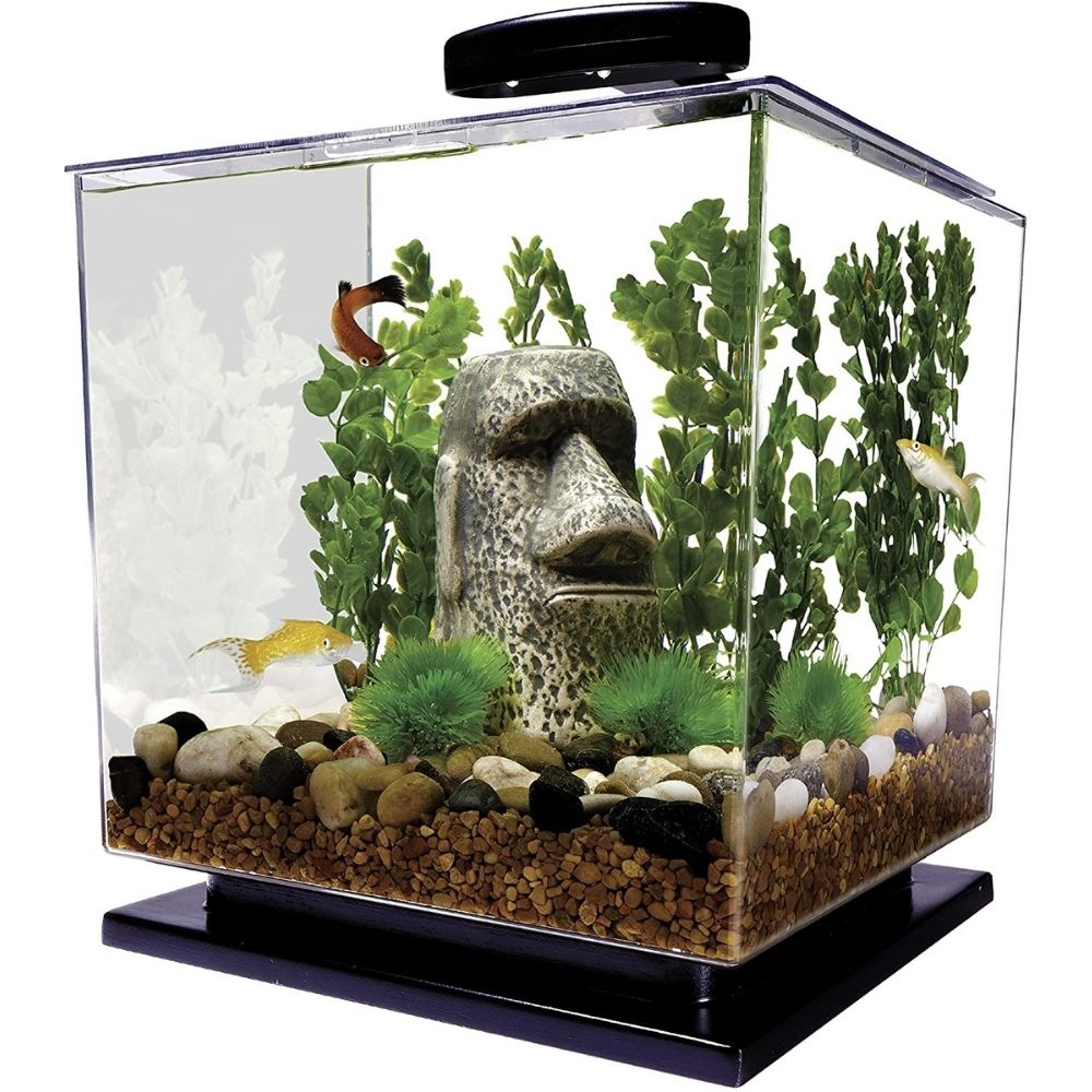 Tetra Cube 3 gallon fish Tank