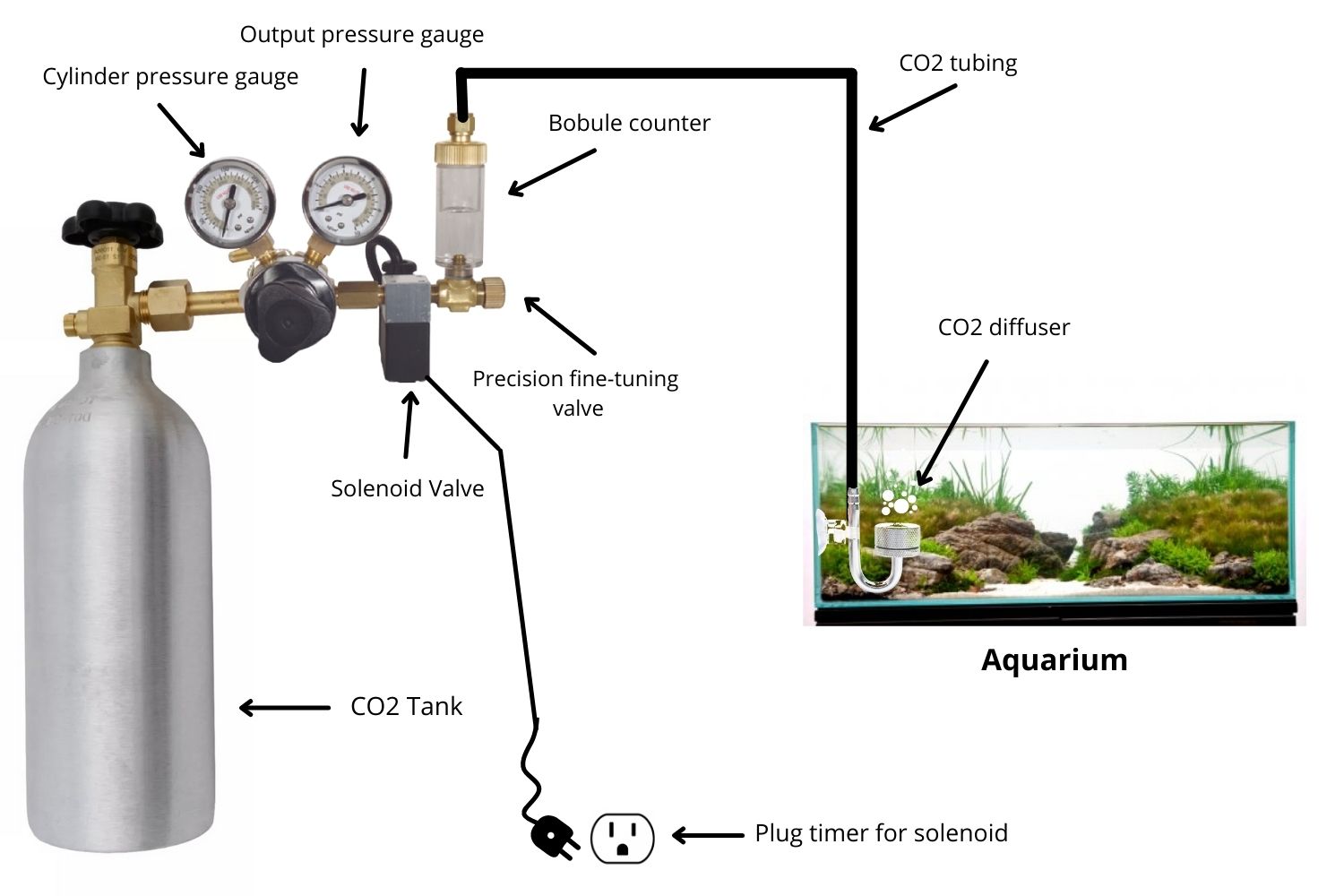 Using & Setting Up an Aquarium CO2 System | Ultimate Guide