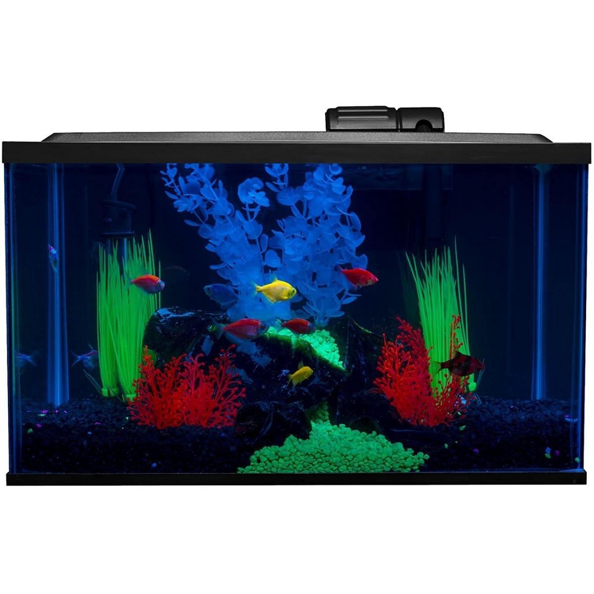 The Best 10 Gallon fish Tank Option: GloFish 10 Gallon Aquarium Kit