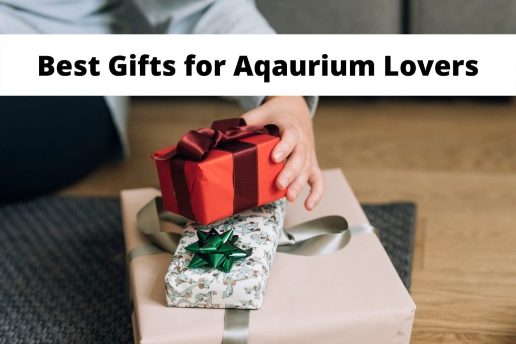 gifts for aquarium lovers