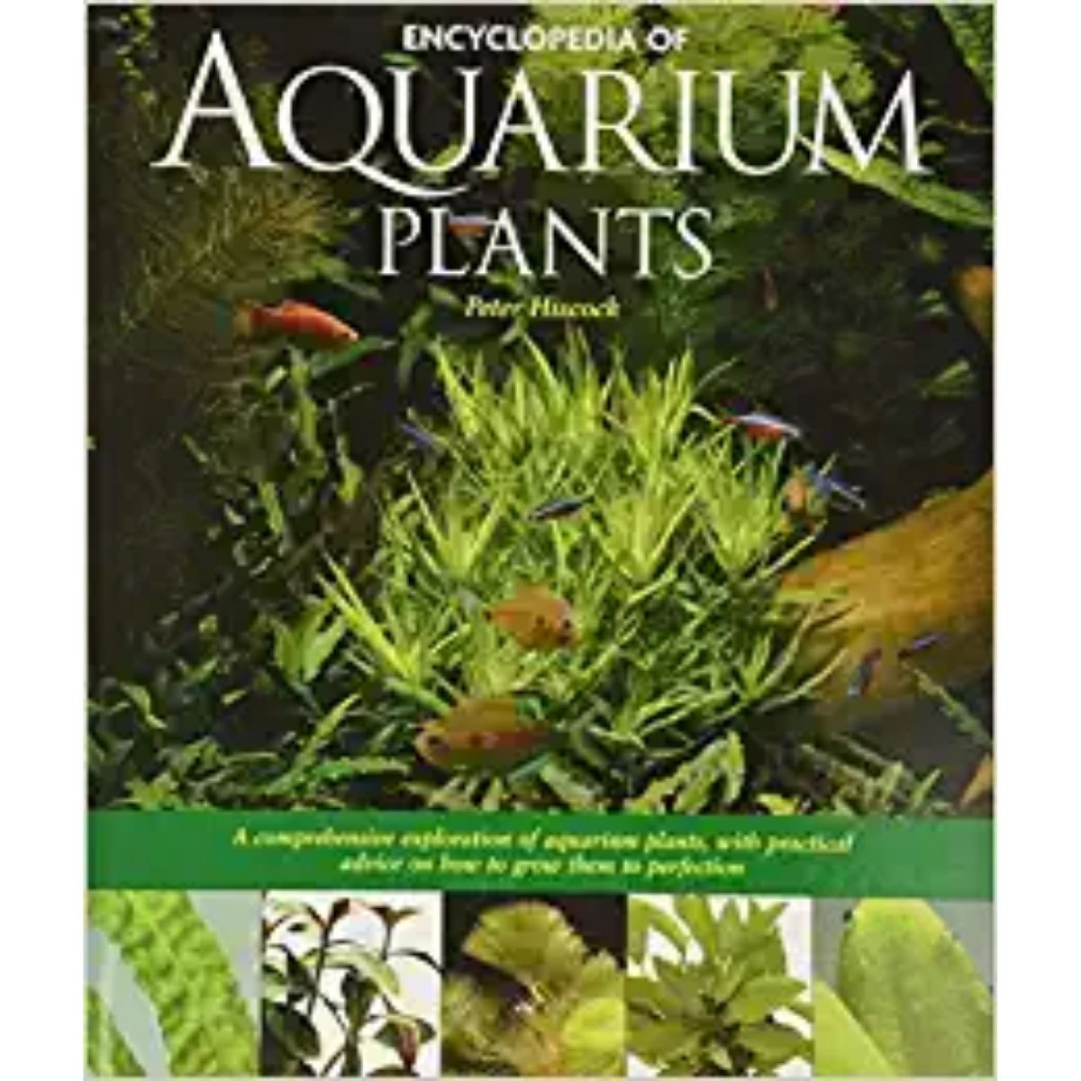 The Best Gift for Aquarium Lovers: Encyclopedia of Aquarium Plants Book