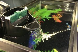 best small fish tank filters