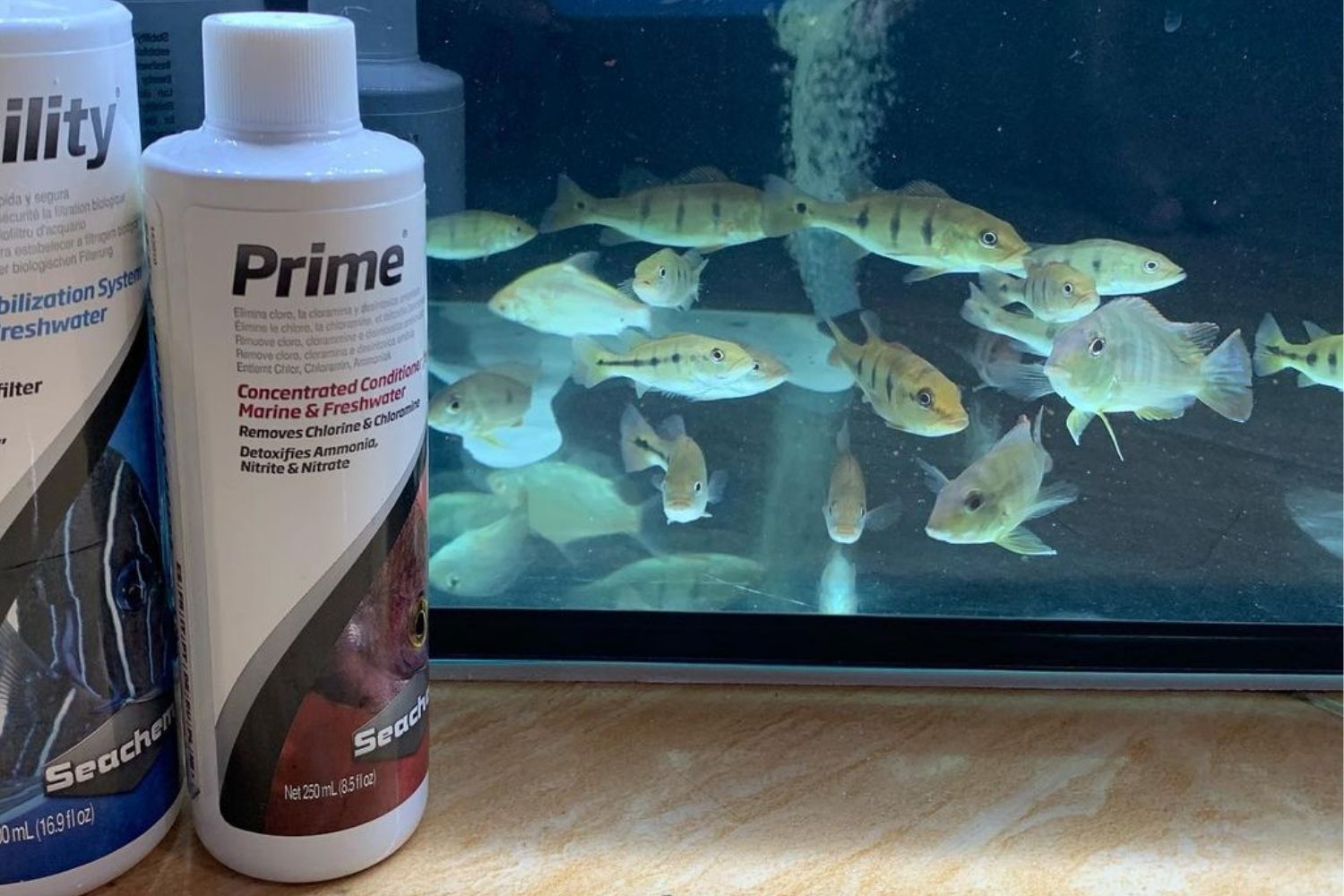 seachem prime the best water condition for aquairums