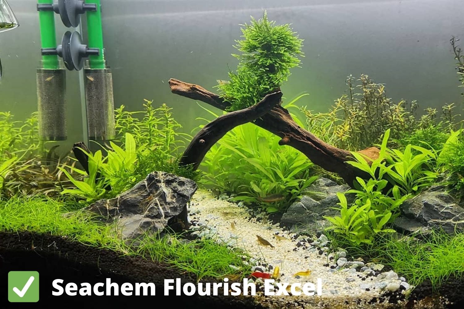 after using  seachem flourish excel