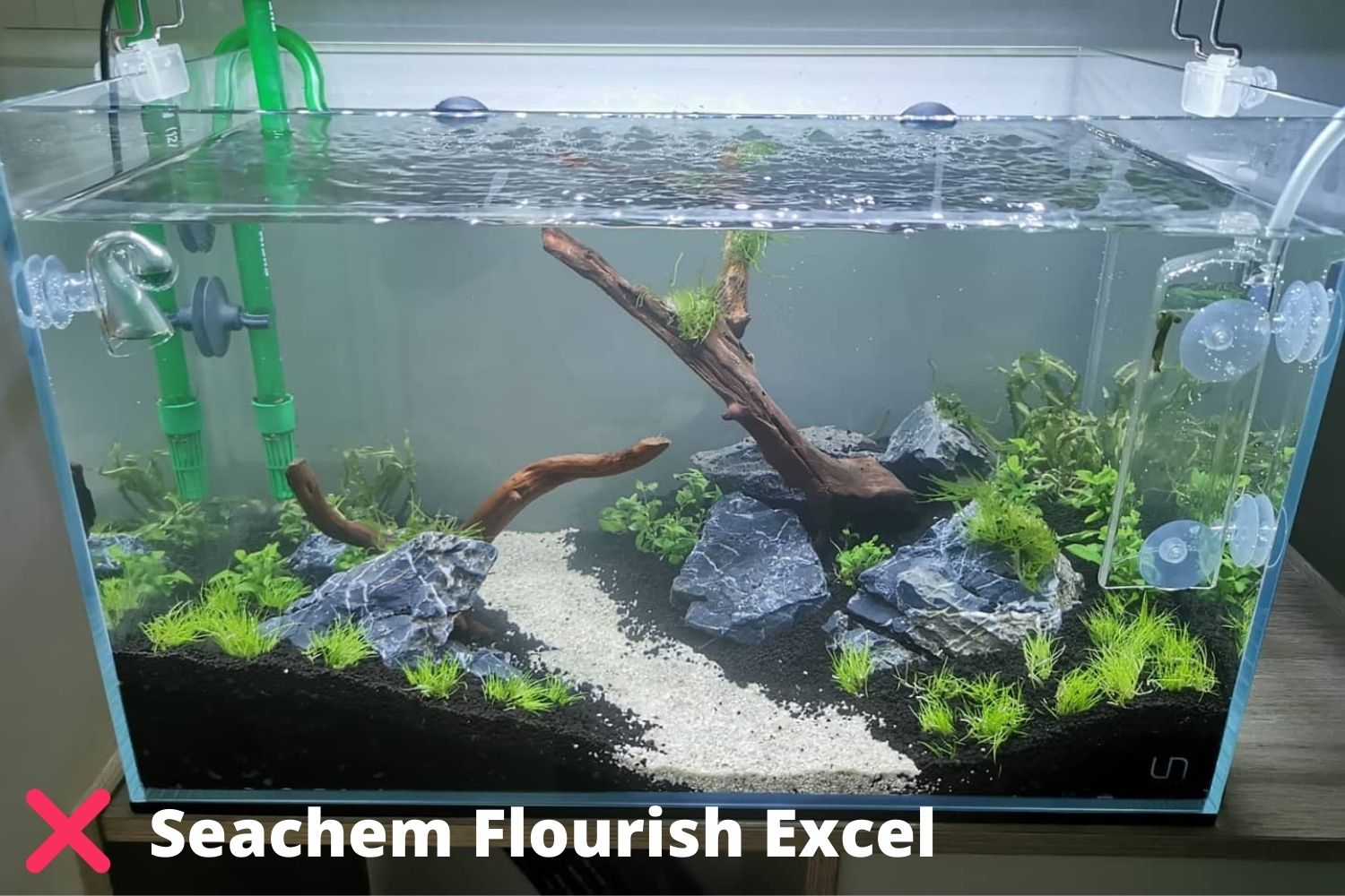 before using seachem flourish excel