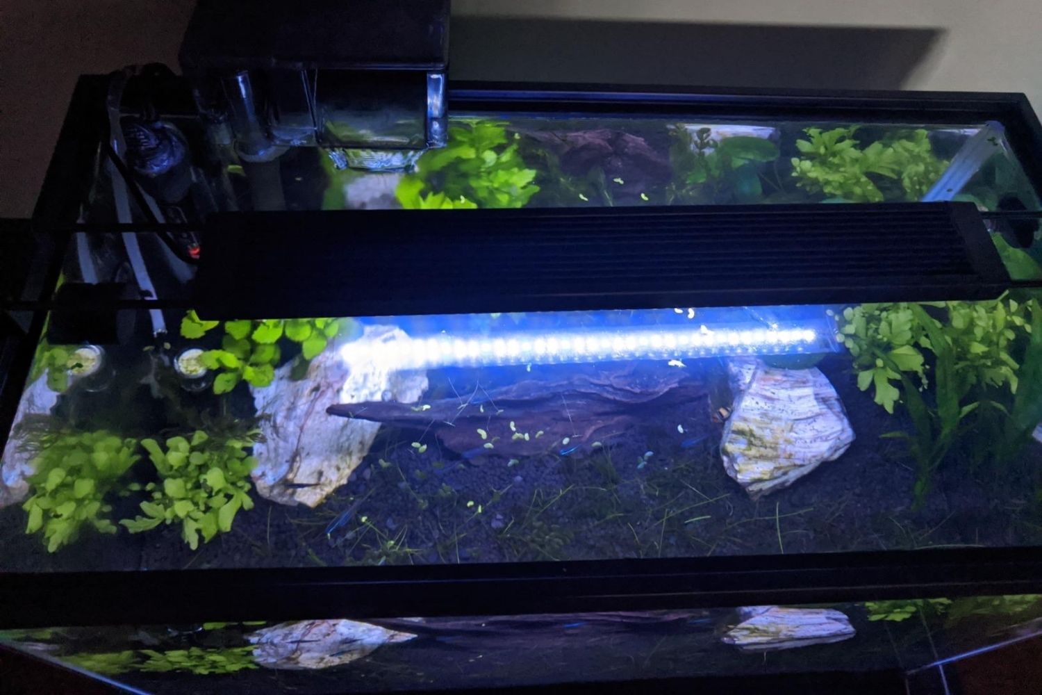 Fluval Aquasky Review Light Coverage